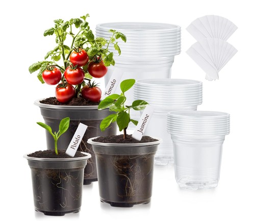 Pack clear nursery plant - 30,