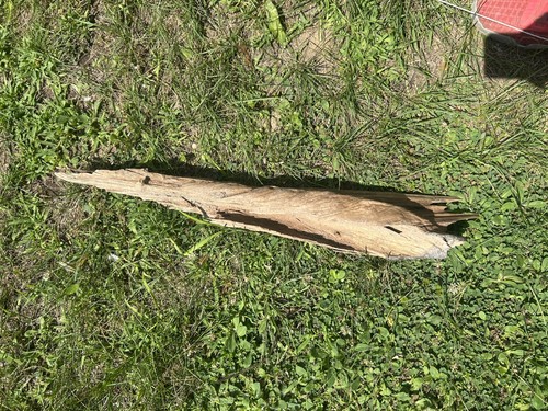Medium large garden driftwood - large,