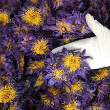 Ceylon Dried Blue Lotus