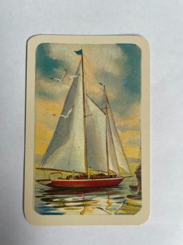 Sailing ship sail yacht - sail,