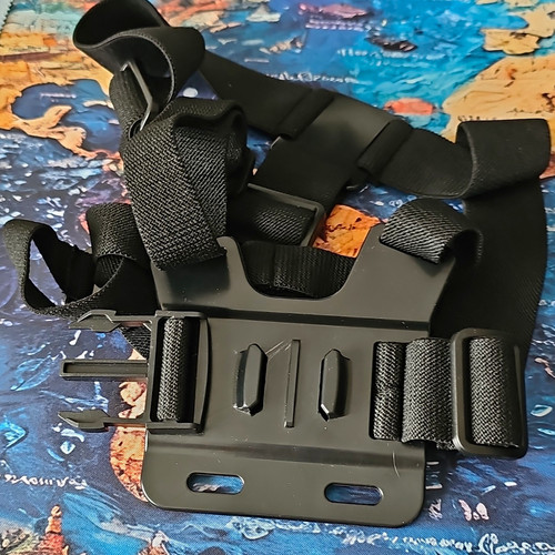 Chest mount harness - mount, strap