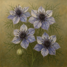 Nigella Delft Blue Seeds |