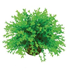 BiOrb Topiary Ball - Green