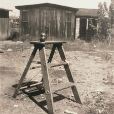 Snapshot Apple Orchard Step