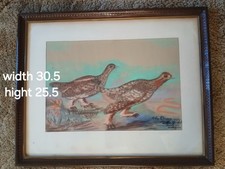 vtg frame with grouse bird