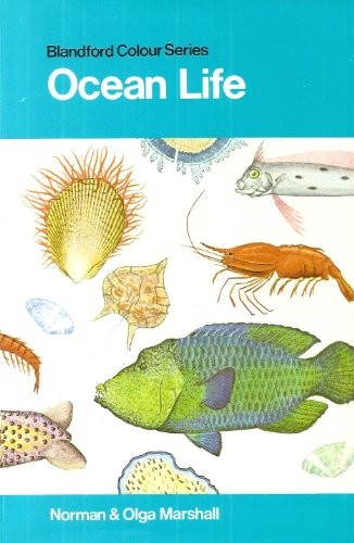Ocean life colour - ocean,