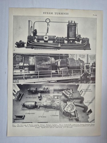 Antique print britannica 1926 - antique,