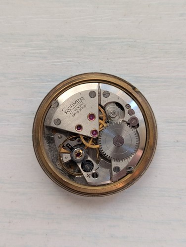 Vintage roamer mst - vintage, roamer/mst