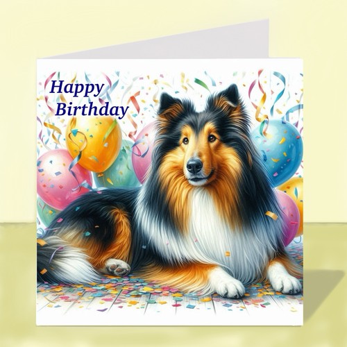 Rough collie dog - collie,