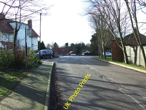 Photo 6x4 bus stop primrose - photo,