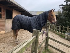 Black Horse Turnout Rug 400g