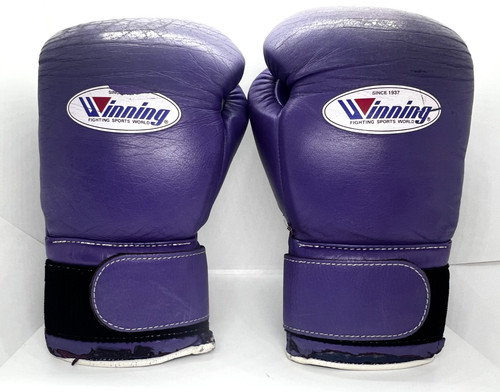 Winning boxing gloves - winning,
