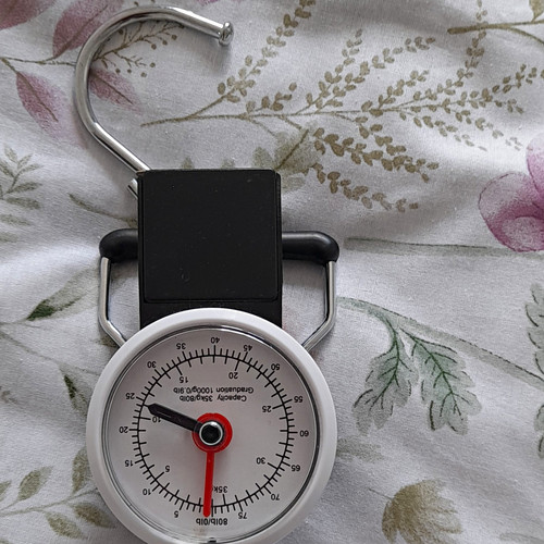 Analogue spring balance - analogue,