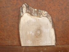 English Walnut Live Natural/Waney Edge Slab/Board/Plank Timber (121201)