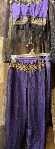 Halloween rubies costume harem - halloween,