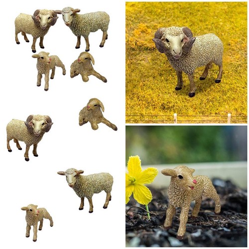 Sheep animal model - sheep, zoo