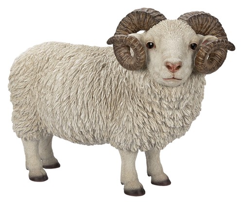 Vivid arts ram sheep - vivid,
