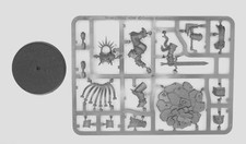 Gardus Steel Soul - Stormcast Eternals - Age of Sigmar