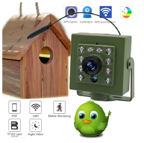 Green wifi bird - green,