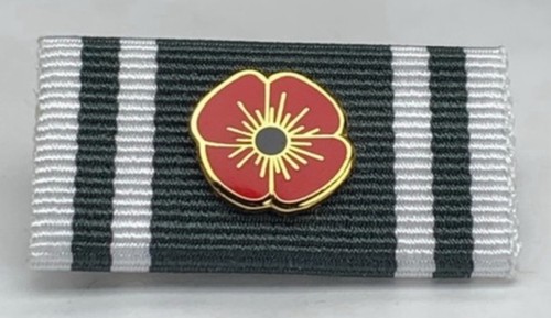 Poppy badge ambulance - ambulance, long
