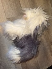 English Sheepdog Blenfield