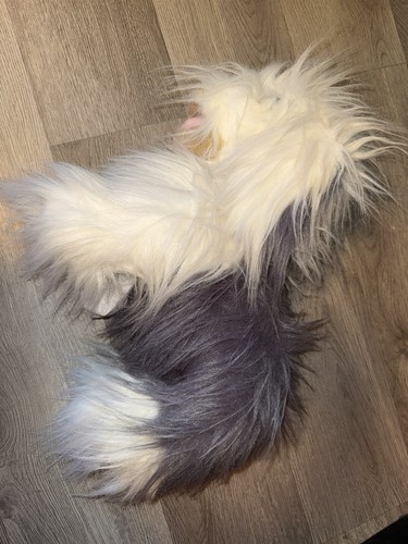 English sheepdog blenfield - english,