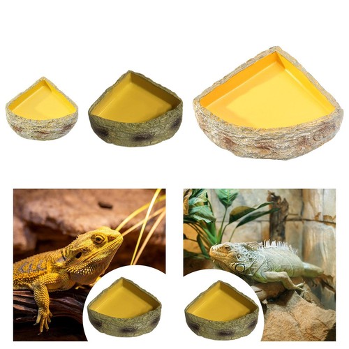 Reptile water bowl rock corner - water,