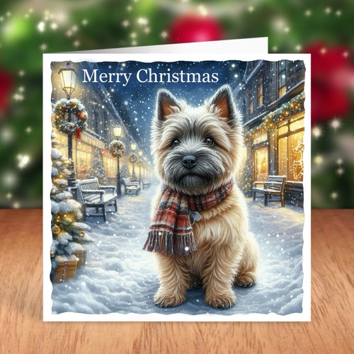 Cairn terrier dog christmas - dog,
