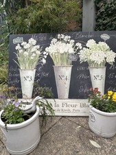 French Style Botanical Flower Shop Canvas.Kathryn White Art. Extra Large