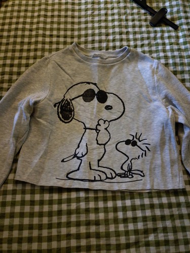 Cool snoopy woodstock - cool,