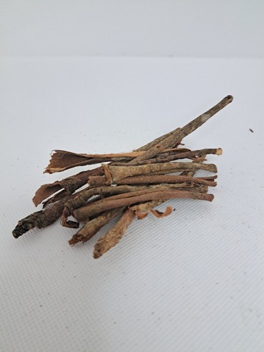 X15 catappa bark sticks - x15,
