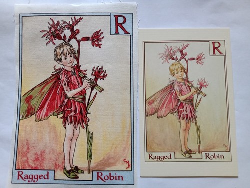 Ragged robin alphabet - -,