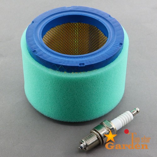 Air filter spark - plug, for