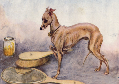 Italian greyhound dog mirror - italian, &