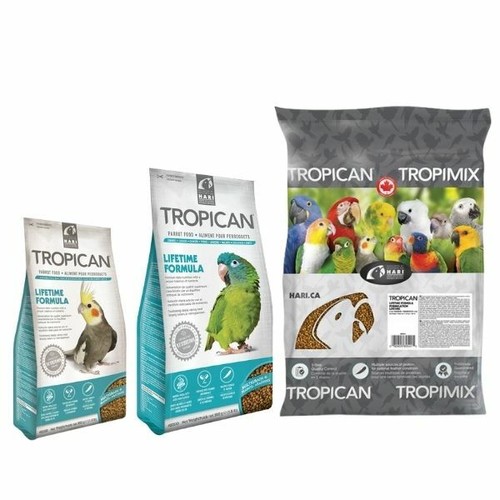 Hari tropican parrot lifetime - hari,