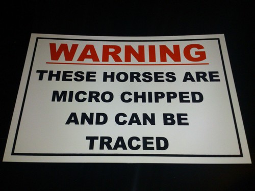 These horses are - these, microchipped
