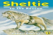 Sheltie 5: Sheltie to the