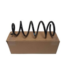 Genuine Fiat Spring |