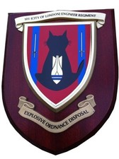 101 eod regiment - 101, royal