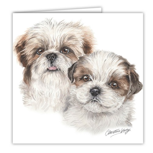 Shih tzu puppies greetings - shih,
