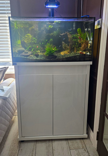Reef pro marine aquarium - dd,