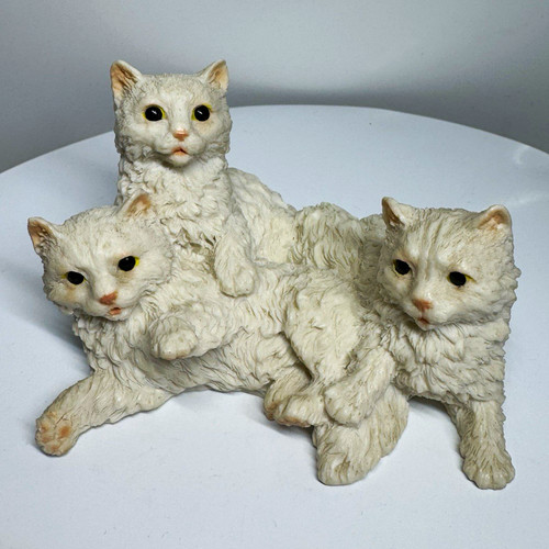 Castagna white kittens - castagna, cats