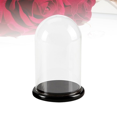 Clear dome cloche transparent - dome,