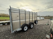 Ifor Williams TA510G-12 Cattle