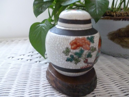 Chinese flower pheasant - chinese,