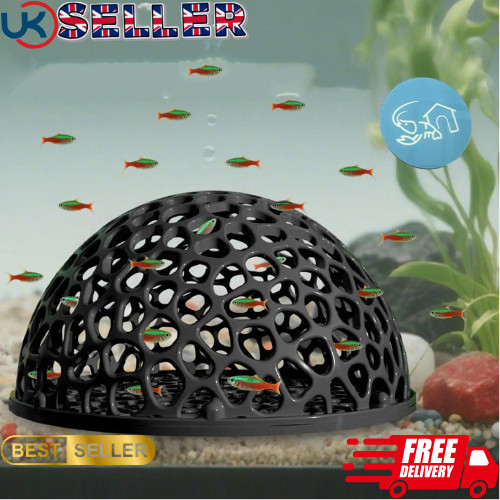 Shrimp breeding cave fish - breeding,