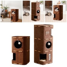 Cat House Cat Climbing Tree