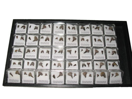 Wholesale per lot display - 8,