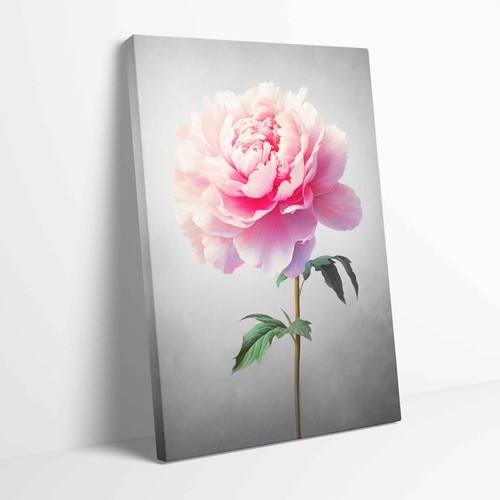Stunning peony flower - stunning,