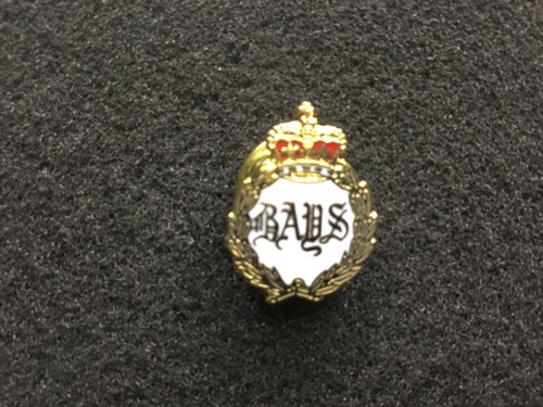 The queens bays regiment - the,
